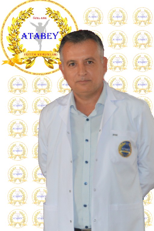 MİT-ULAŞ